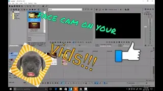 how to put a face cam on your vids
