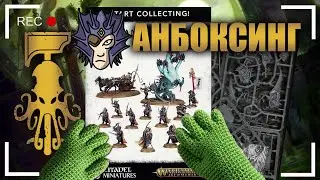Анбоксинг Start Collecting! Anvilgard - Age of Sigmar. Что внутри коробки?