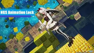 NGS Animation Lock