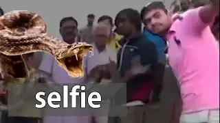 Homem leva mordida de cobra ao tentar fazer selfie!