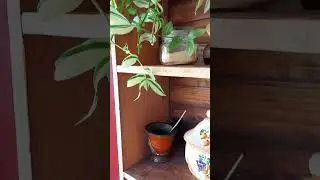 Meu cantinho rústico |