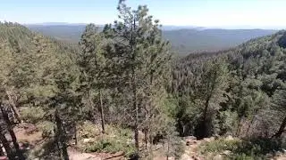 Mogollon Rim