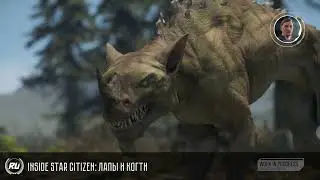 Inside Star Citizen: Лапы и Когти