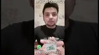 Бесплатный розыгрыш старт WhatsApp 8 915 006 09 69