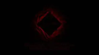 DIGITAL DIRIGER- WONDERFUL LIFE (BLACK CRYSTAL)