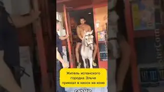 Житель испанского города Эльче приехал в киоск на коне #новости #новостииспании