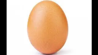 Яйцо 10 ЧАСОВ