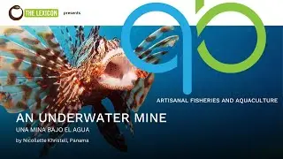 An Underwater Mine by Nicollette Khristell