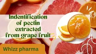 Identification of pectin extracted from grape fruit-Procedure
