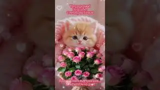 Доброе утро,хорошего дня открытки на каждый день 