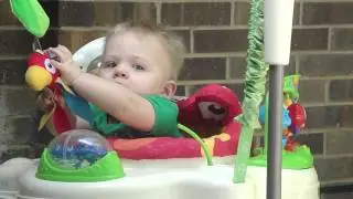 Eat the Bird