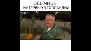 обычное интервью в Голландии