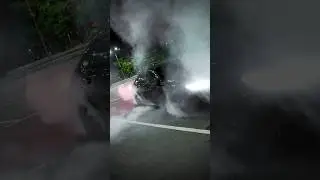 TSM - #macan #макан