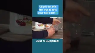 Testing Your Soil's pH - Simple Solutions