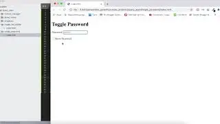 Show/Hide password - javascript