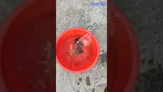 OPPO F27 PRO+ 5G WATER TEST