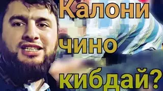 Калони чино?