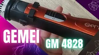 Gemei GM-4828