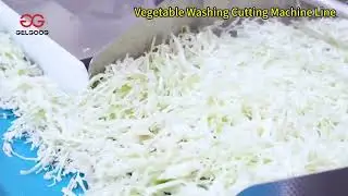 Vegetable Washing Cutting Processing Machine Line 