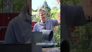 Cambio de macetas, cuando nuestras plantas piden písta!