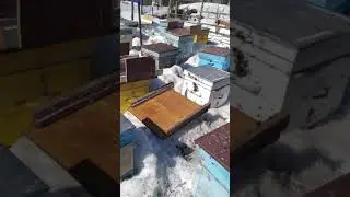 Первый очистительный облёт. 25 марта