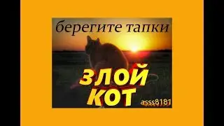 Не злите кота! Злой кот срёт в тапки!