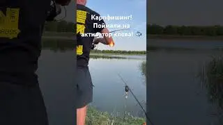 Рыбалка! Ловля карпа на активатор клева! #карп #рыбалка #карпфишинг #карась #сазан #кубань #улов