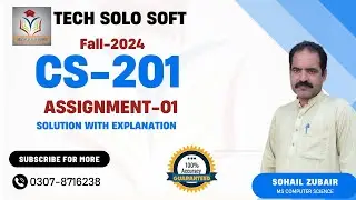CS201 Assignment 1 Solution Fall 2024 100% Accurate by Tech Solo Soft | CS201 Assignment 1 solution