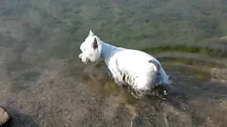 Дуся и Леля