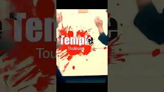 LE TEMPLE du WING CHUN : Stéphane Serror, l'expert français basé à TOULOUSE