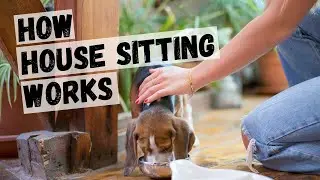 What is House Sitting? The Benefits and Responsibilities