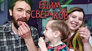 ПРОБУЕМ СВЕРЧКОВ И ПЕЧЕНЬЕ ИЗ СВЕРЧКОВ