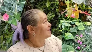 Selva tropical 🪴cultivada en el  interior de una oficina /40 mil especies de 30 paises del mundo.