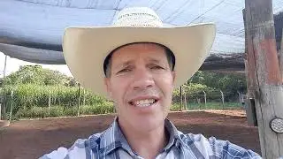 Como deixar um cavalo bom pra passeio ou lida com pouco tempo #muar #cavalos #domaracional