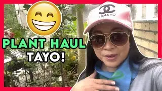 Plant Haul from the Old Airport | Babala: di lahat ng umaastang kaibigan ay tunay ang pakay