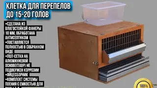 Как сделать клетку для перепелов из фанеры: подробный обзор