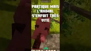 COMMENT CHASSER DANS VINTAGE STORY ????