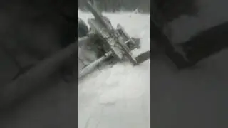 Лес, зима