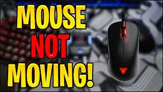 MOUSE NOT MOVING on Cronus Zen