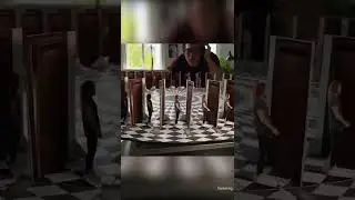 ¿Se Mueven de Verdad?😵