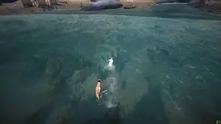 Black desert comparing of  beach Swim suit vs Shark outfit
