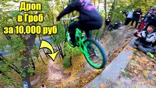 50 дропов на 50к подписчиков!