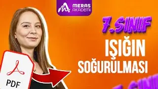Işığın Soğurulması Konu Anlatımı | 7. Sınıf Fen Bilimleri | 2025