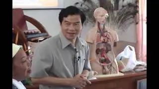 The Psoas Gland Massage