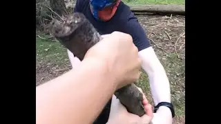 Vally tapaa hirviön 4 minuutissa