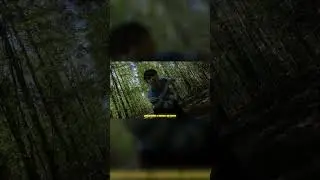ТРЕК в СЕТИ
