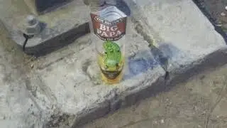Big Papa