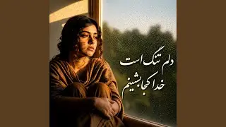 دلم تنگ است خدا کجا بشینم - آهنگ جدید افغانی