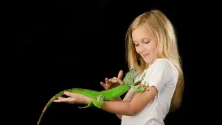 Cosas que no hacer con tu IGUANA bebe!