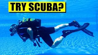How to Try Scuba - What is Discover Scuba Diving?
